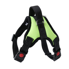 Pet Walking Harness Adjustable Comfort Florida Guy