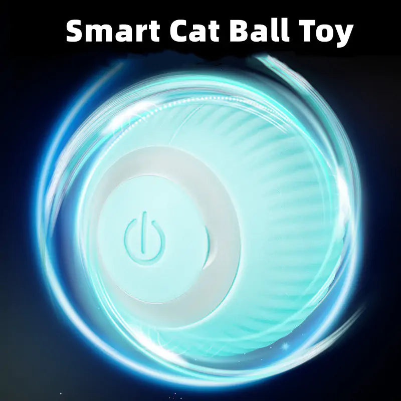 Smart Cat Ball Toys Zendrop