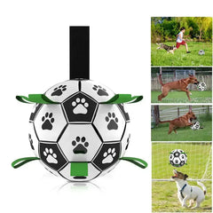 Soccer Ball Dog Toy Florida Guy