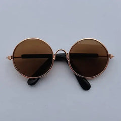 Vintage Round Cat Sunglasses Florida Guy