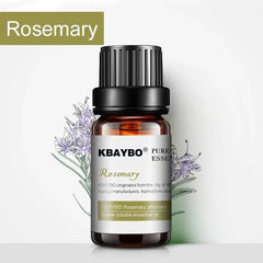 Essential Oils for Aromatherapy Diffuser Florida Guy